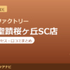 カラダファクトリー 京王聖蹟桜ヶ丘SC店の料金・アクセス・営業時間まとめ｜口コミの傾向も紹介